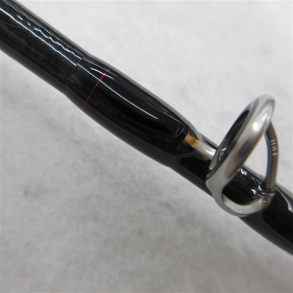 ２４アナリスターネライＭー２１０
